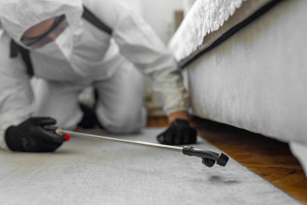 Professional Cockroach Control technician working in Peabody, MA